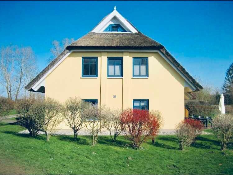 Komfortables Reetdachferienhaus Hasel 1 Puddemin 외부 사진